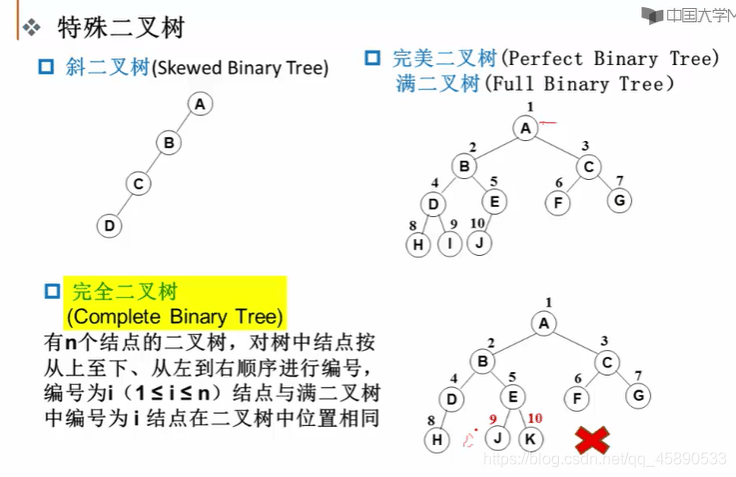 Special Binary Trees